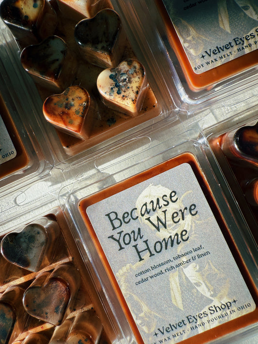 Because You Were Home Wax Melt - The Strangers Inspired