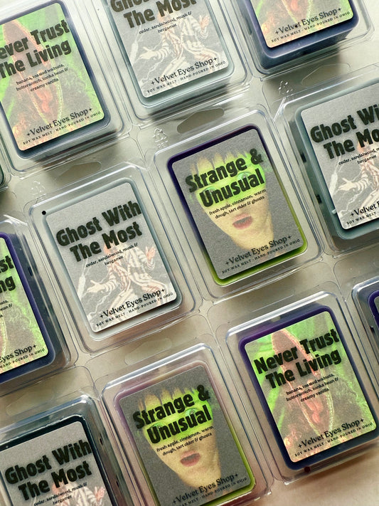 Beetlejuice Wax Melt Set