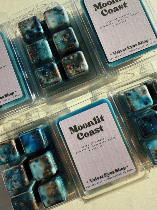 Moonlit Coast Wax Melt