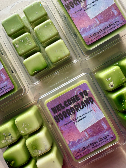 Welcome To Horrorland Wax Melt - Goosebumps Inspired