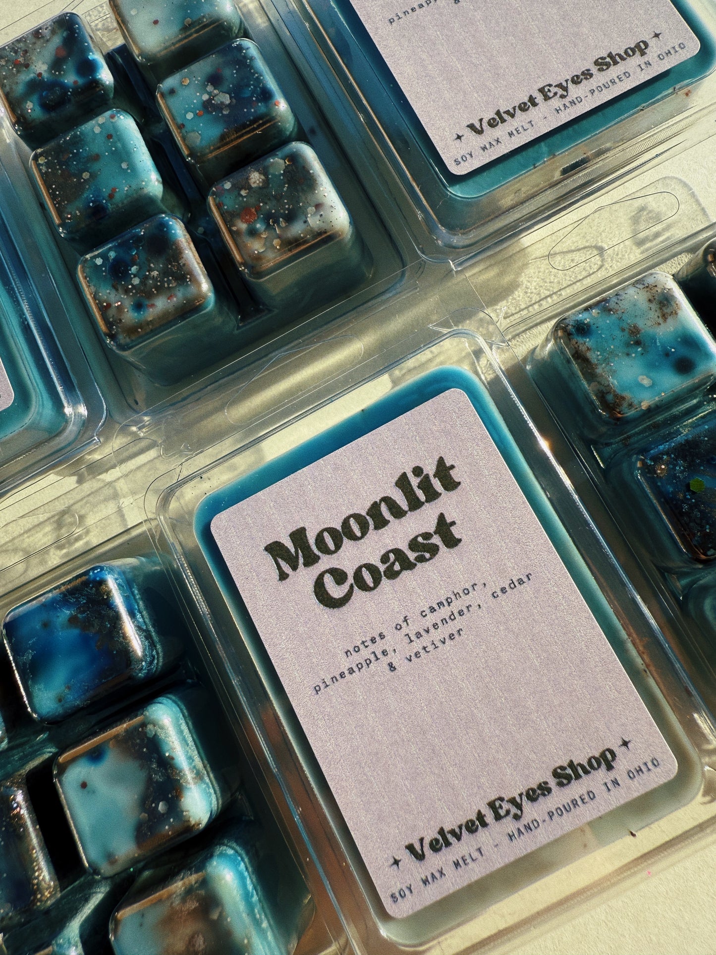 Moonlit Coast Wax Melt