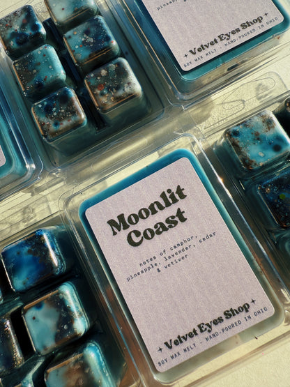 Moonlit Coast Wax Melt