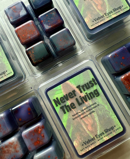 Beetlejuice Wax Melt Set