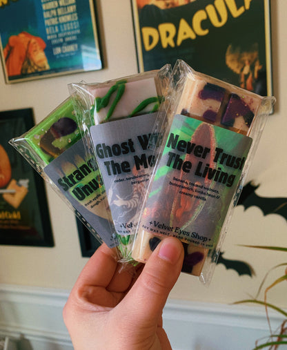 Beetlejuice Wax Melt Set