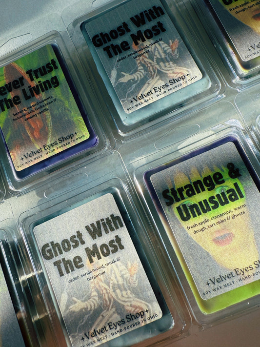 Beetlejuice Wax Melt Set