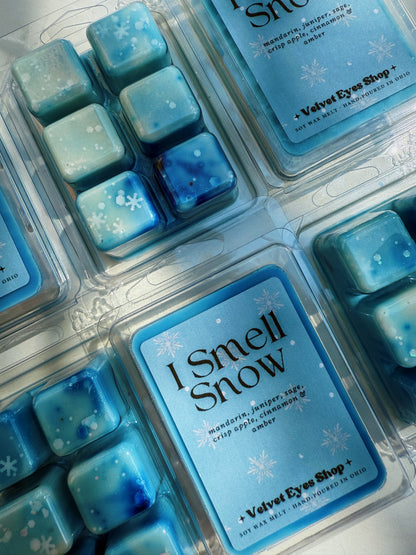 Gilmore Girls Winter Wax Melts