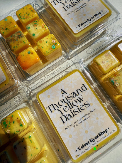 Gilmore Girls Summer Wax Melts